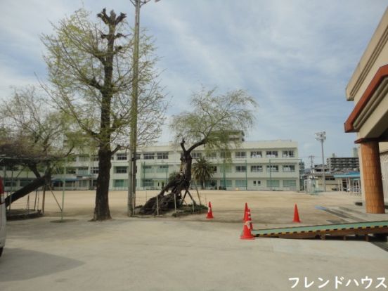 青崎小学校の画像
