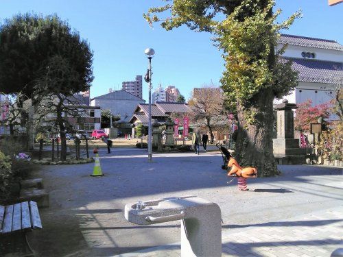 大観音児童遊園の画像