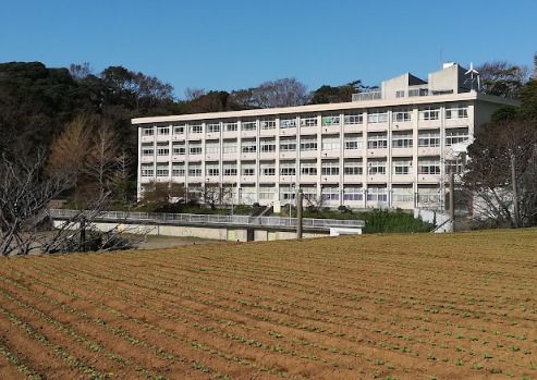 三浦市立旭小学校の画像