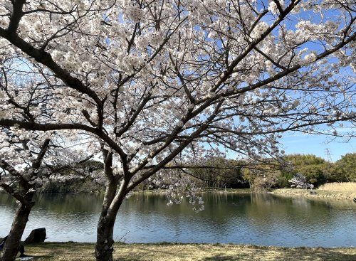 山田池公園【北入口】の画像