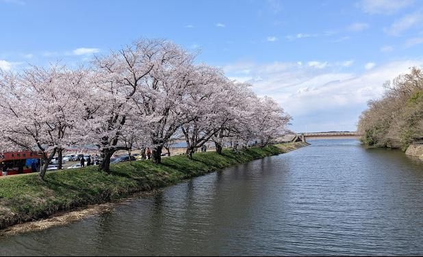 福岡堰さくら公園の画像