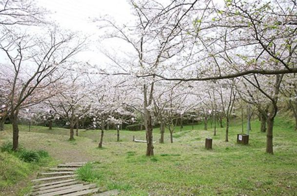 県立塚山公園の画像