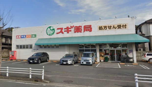 スギ薬局 高横須賀店の画像