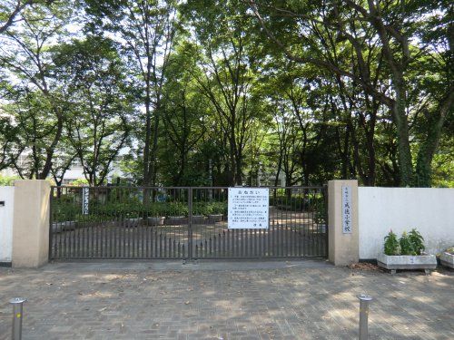 尼崎市立成徳小学校の画像