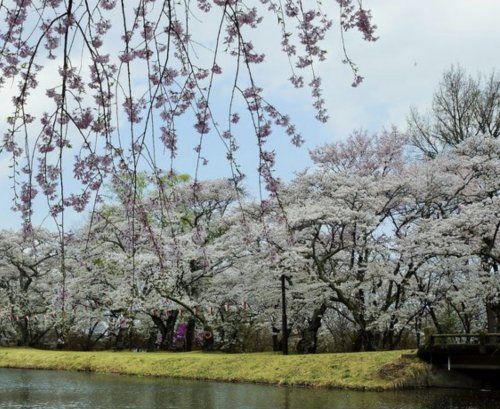 馬見塚公園の画像