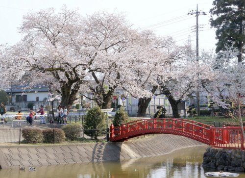 菅谷公園の画像