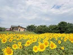 東松山市農林公園の画像