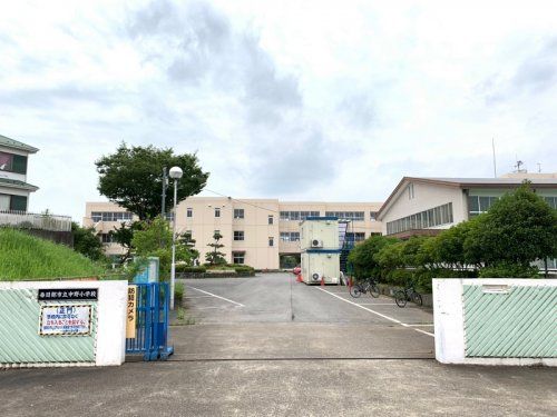 中野小学校の画像