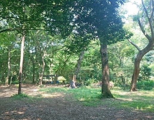 大青田の森の画像