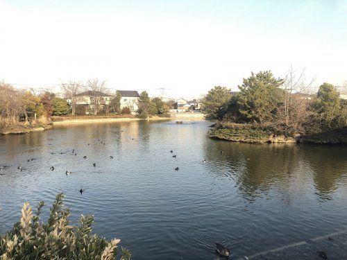 大池親水公園の画像