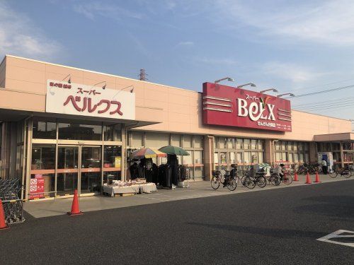 ベルクスせんげん台東店の画像