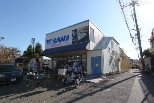 YAMAKA(ヤマカ) 江ノ島店の画像