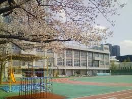 中央区立豊海小学校の画像