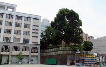 私立東京女学館小学校の画像