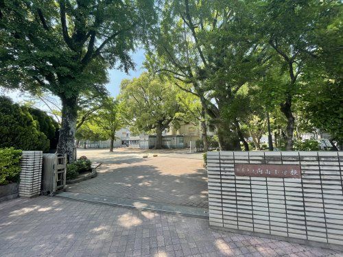 熊本市立 向山小学校の画像