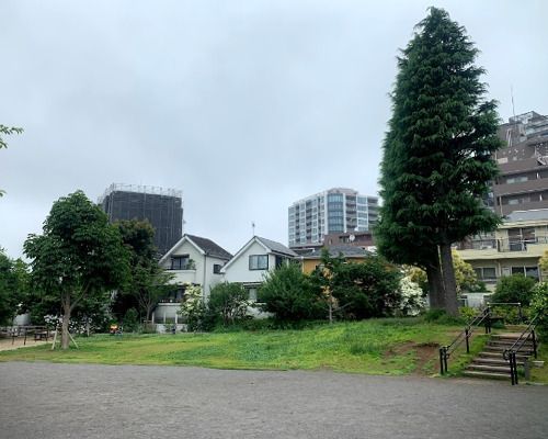 富ヶ谷三本杉公園の画像