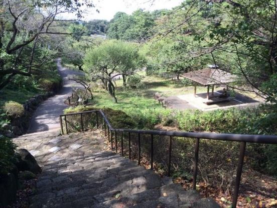 大倉山公園の画像