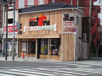 ペットオアシス キングル住吉店の画像