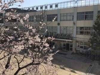 品川区立上神明小学校の画像