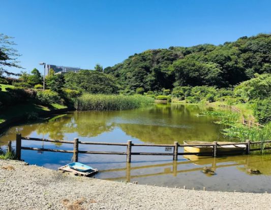 光の丘水辺公園の画像