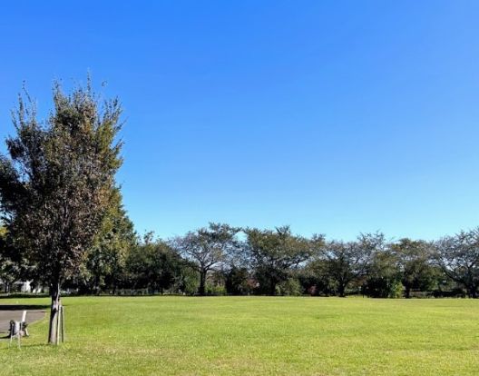 中原ふれあい防災公園の画像