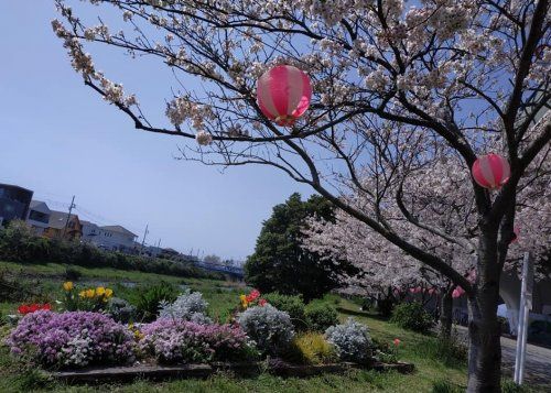 湘南夢わくわく公園の画像