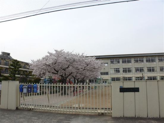 池田市立 石橋小学校の画像