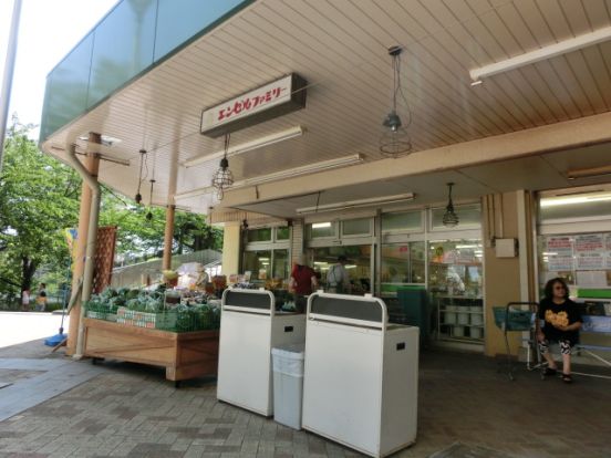 エンゼルファミリー永田台店の画像