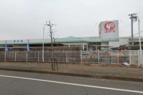 コメリハード&グリーン関宿店の画像