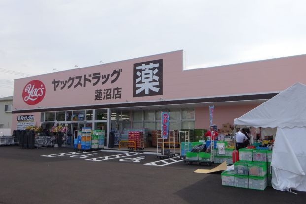 ヤックスドラッグ蓮沼店の画像