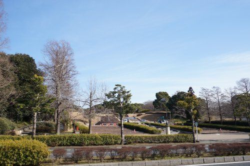 千葉県立青葉の森公園の画像