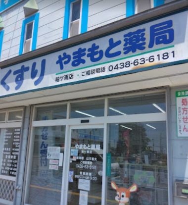 やまもと薬局袖ケ浦店の画像