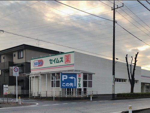 ドラッグセイムス吉川けやき通り店の画像