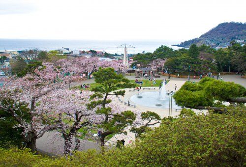 函館公園の画像