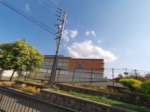 和泉市立青葉はつが野小学校の画像