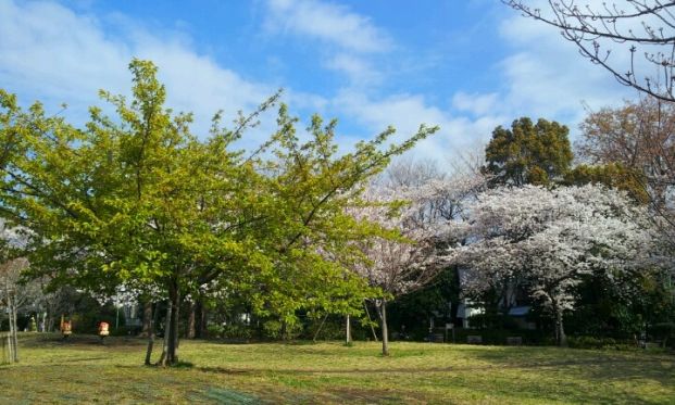 西郷山公園の画像