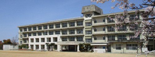 明石市立江井島小学校の画像