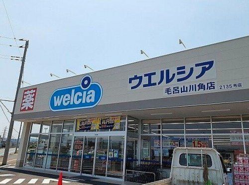 ウエルシア毛呂山川角店の画像