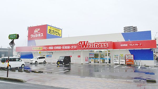 ドラッグストアウェルネス 出雲中野店の画像