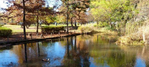 新川丸池公園の画像
