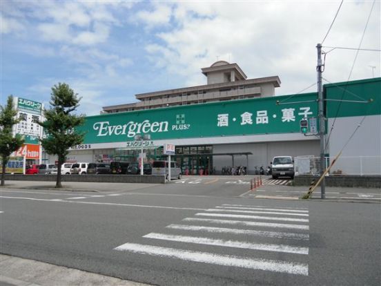 エバグリーンプラス広瀬店の画像