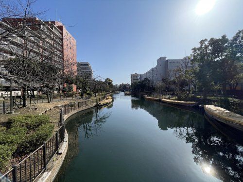 横十間川親水公園の画像