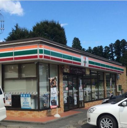 セブンイレブン　高萩安良川店の画像