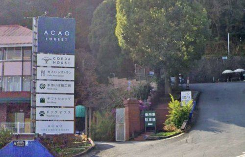 ACAO FORESTの画像