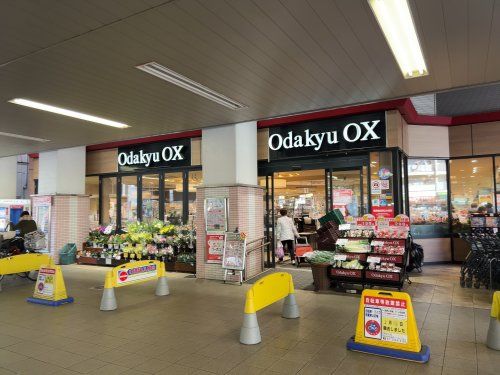 Odakyu OXの画像