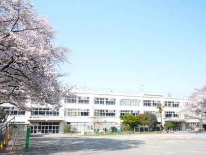 杉並区立八成小学校の画像