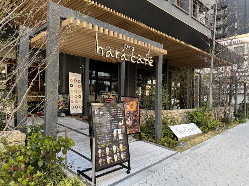 hara cafeの画像