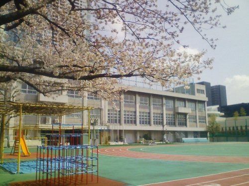 中央区立豊海小学校の画像