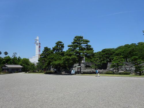 徳島中央公園の画像