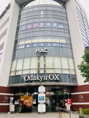 Odakyu OX(オダキュウ オーエックス) 万福寺店の画像